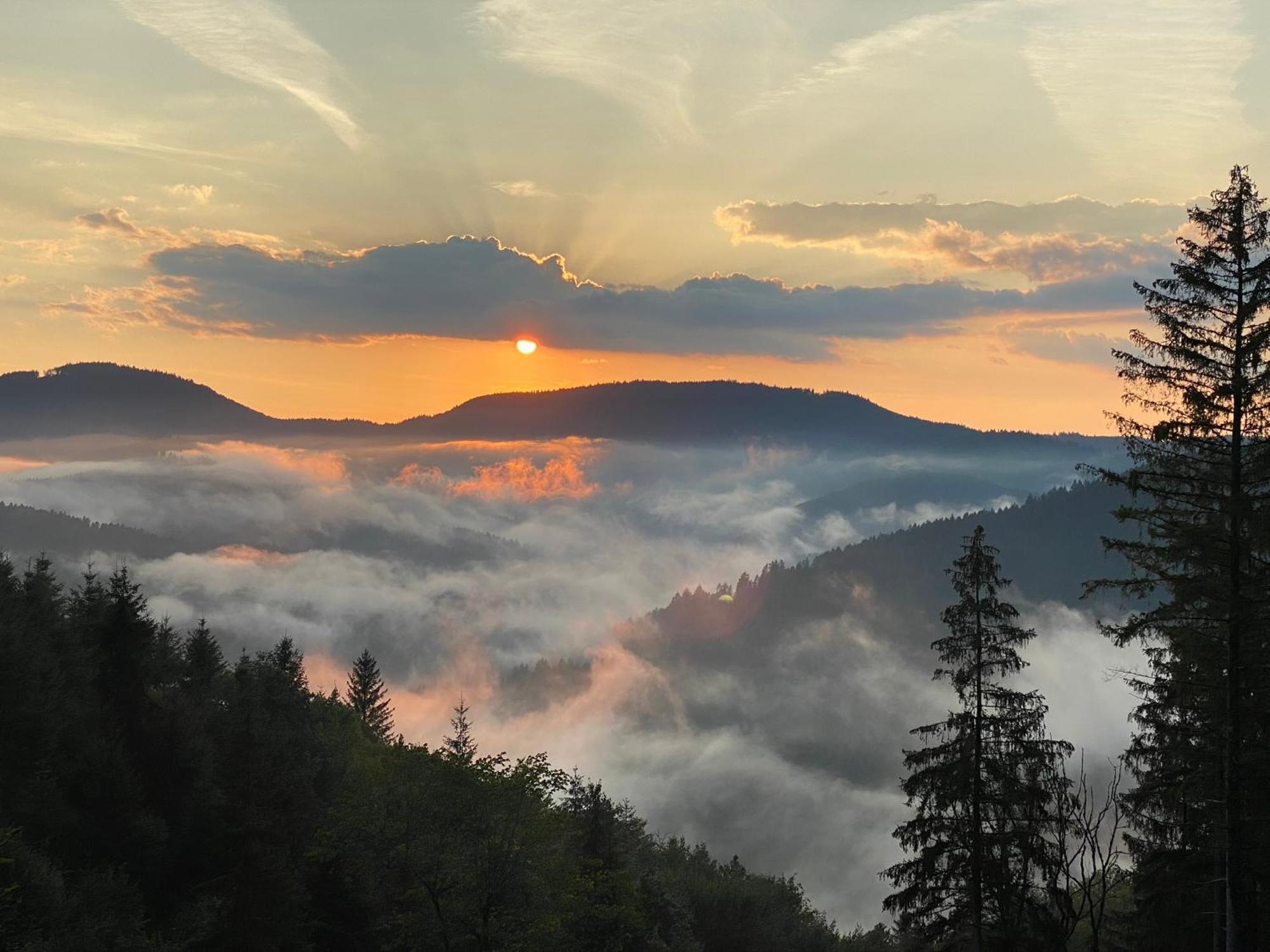 Villa Landeckhof Oberwolfach Esterno foto