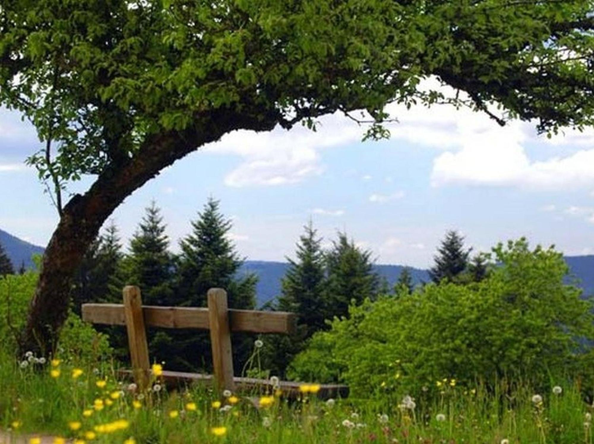 Villa Landeckhof Oberwolfach Esterno foto