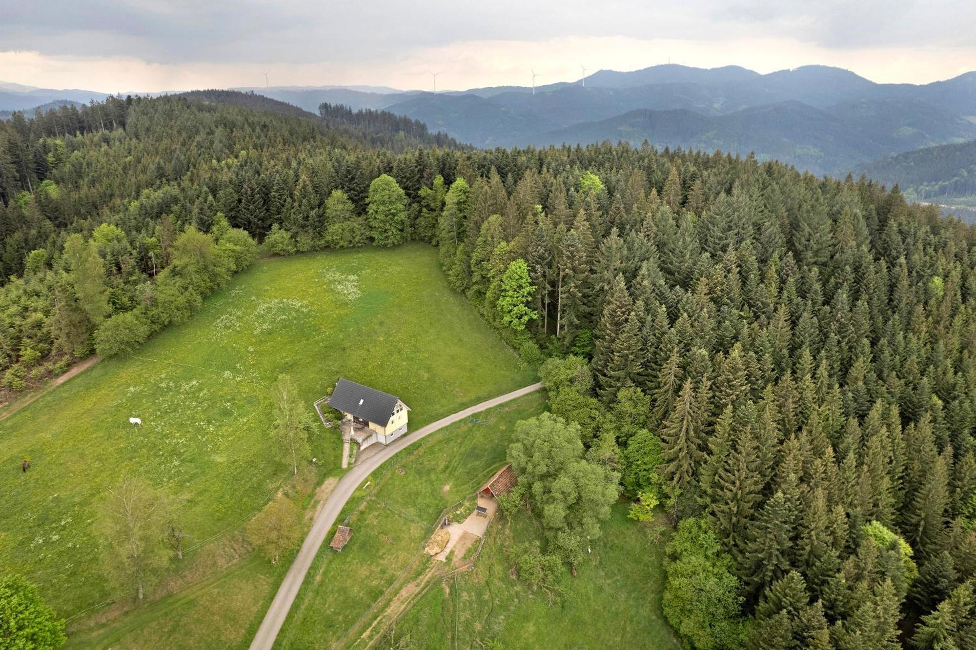 Villa Landeckhof Oberwolfach Esterno foto